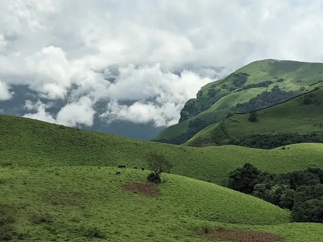 Bandaje Falls Trek — photo 1
